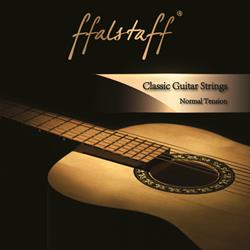 MUTA CHITARRA CLASSICA  F2843
