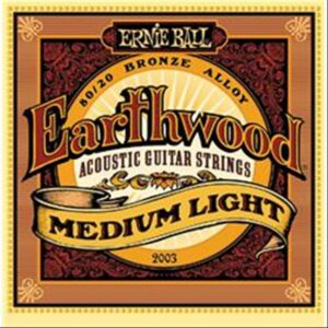 MUTA CHITARRA ACUSTICA EART ERNIE BALL 2003