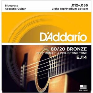 MUTA CHITARRA ACUSTICA D'ADDARIO EJ14