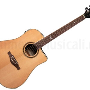 CHITARRA ACUSTICA EKO - NXT D100