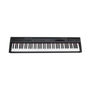 PIANO DIGITALE ECHORD  SP1  88 TASTI PESATI