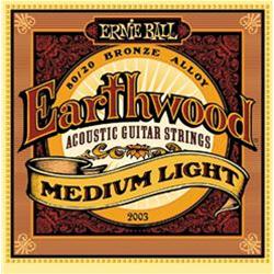 MUTA CHITARRA ACUSTICA  ERNIE BALL