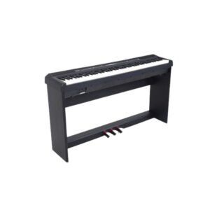 Piano DP1 Pianoforte Digitale 88 Tasti pesati +Supporto WS-10B