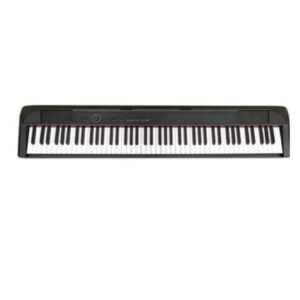 PIANO DIGITALE ECHORD  DP1