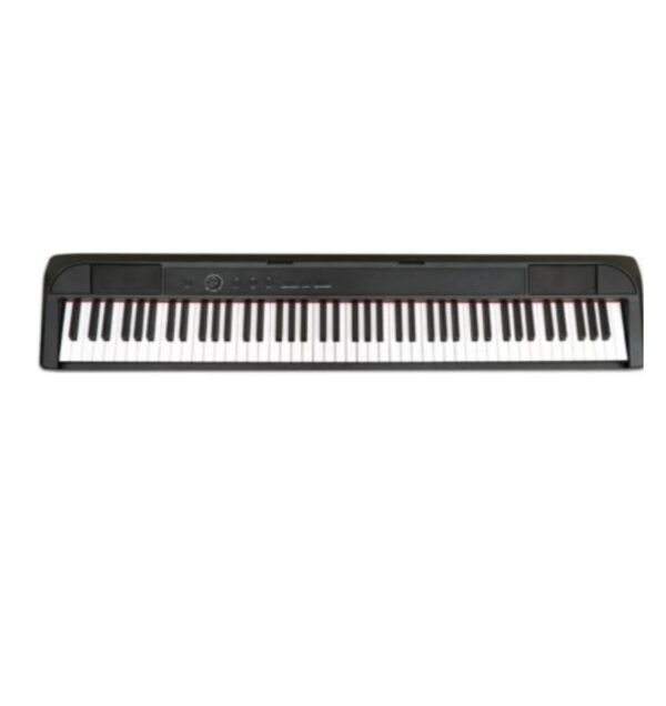 PIANO DIGITALE ECHORD  DP1