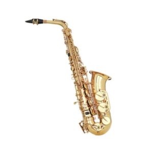 SAX Grassi GR SAL700 Sassofono Contralto School Laccato Chiave Mib + Custodia