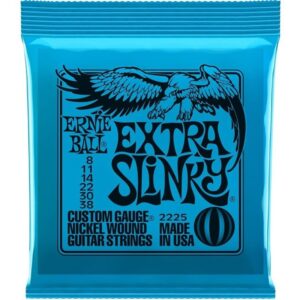 MUTA CHITARRA ELETTRICA  ERNIE BALL 2225